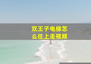 双王子电梯怎么往上走视频