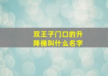 双王子门口的升降梯叫什么名字