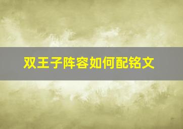 双王子阵容如何配铭文