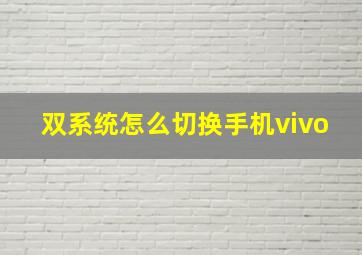 双系统怎么切换手机vivo