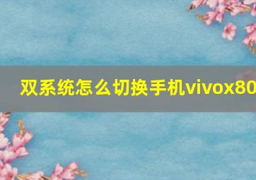 双系统怎么切换手机vivox80