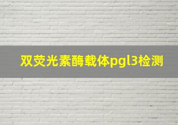 双荧光素酶载体pgl3检测