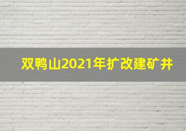 双鸭山2021年扩改建矿井