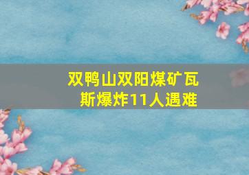 双鸭山双阳煤矿瓦斯爆炸11人遇难