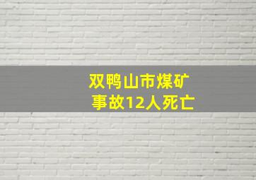 双鸭山市煤矿事故12人死亡