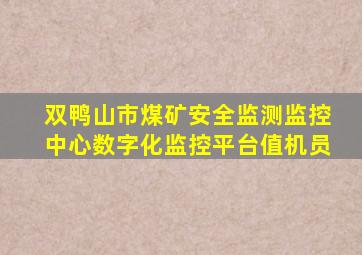 双鸭山市煤矿安全监测监控中心数字化监控平台值机员