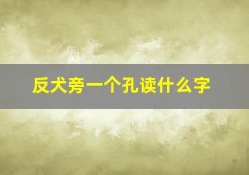 反犬旁一个孔读什么字