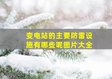 变电站的主要防雷设施有哪些呢图片大全