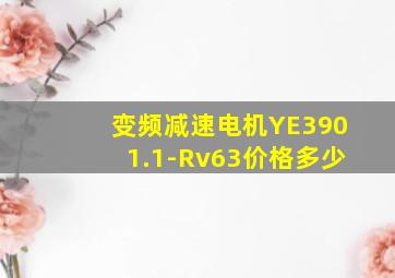 变频减速电机YE3901.1-Rv63价格多少