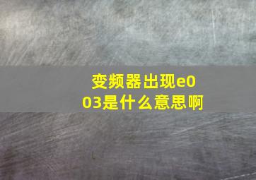 变频器出现e003是什么意思啊