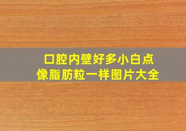 口腔内壁好多小白点像脂肪粒一样图片大全