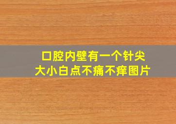 口腔内壁有一个针尖大小白点不痛不痒图片