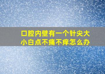 口腔内壁有一个针尖大小白点不痛不痒怎么办