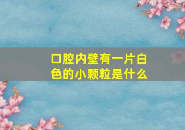 口腔内壁有一片白色的小颗粒是什么