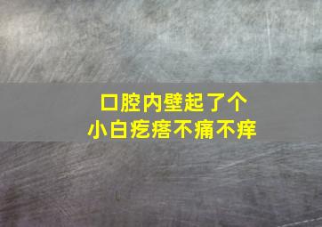 口腔内壁起了个小白疙瘩不痛不痒