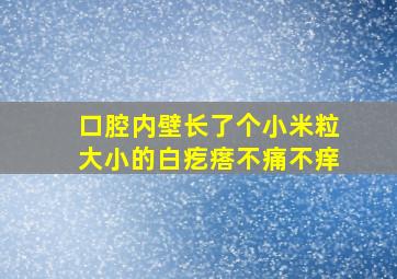 口腔内壁长了个小米粒大小的白疙瘩不痛不痒