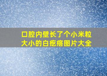 口腔内壁长了个小米粒大小的白疙瘩图片大全