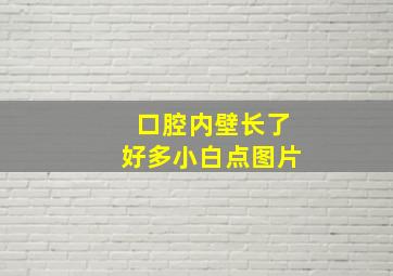 口腔内壁长了好多小白点图片