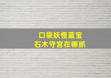 口袋妖怪蓝宝石木守宫在哪抓