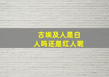 古埃及人是白人吗还是红人呢