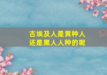 古埃及人是黄种人还是黑人人种的呢