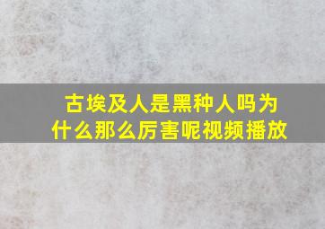 古埃及人是黑种人吗为什么那么厉害呢视频播放