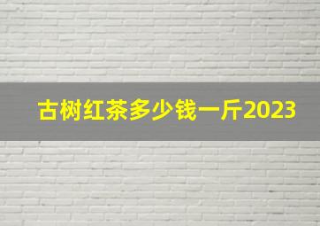 古树红茶多少钱一斤2023