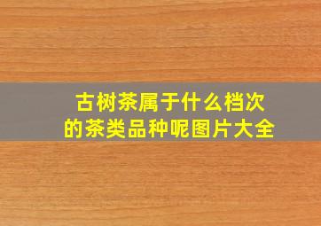 古树茶属于什么档次的茶类品种呢图片大全