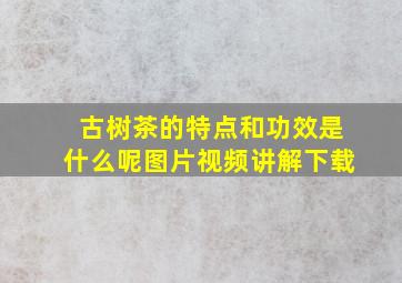 古树茶的特点和功效是什么呢图片视频讲解下载