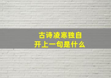 古诗凌寒独自开上一句是什么