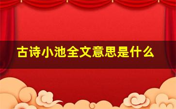 古诗小池全文意思是什么