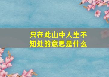 只在此山中人生不知处的意思是什么