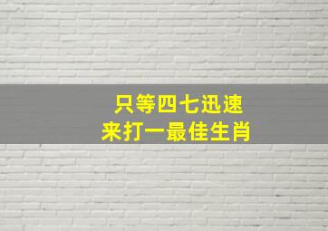 只等四七迅速来打一最佳生肖