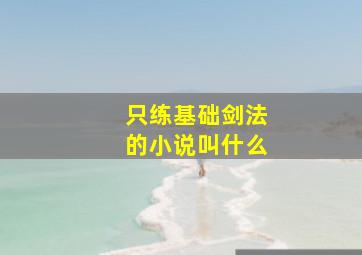 只练基础剑法的小说叫什么