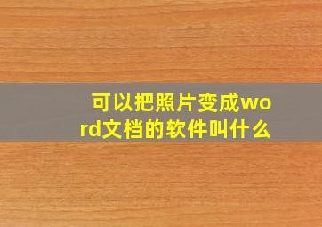 可以把照片变成word文档的软件叫什么