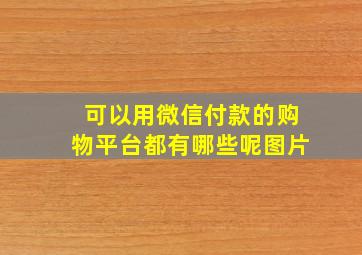 可以用微信付款的购物平台都有哪些呢图片