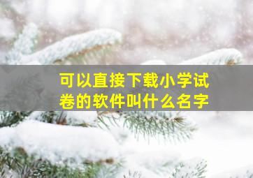 可以直接下载小学试卷的软件叫什么名字