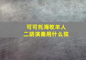 可可托海牧羊人二胡演奏用什么弦