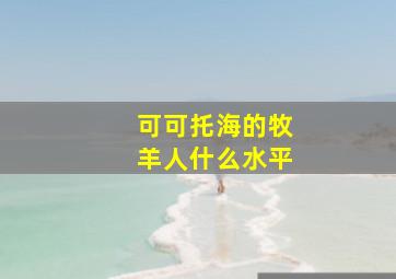 可可托海的牧羊人什么水平