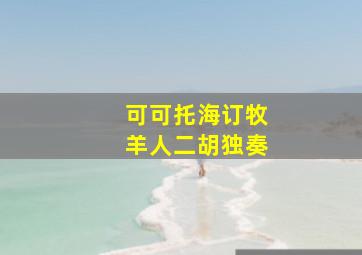 可可托海订牧羊人二胡独奏