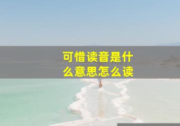 可惜读音是什么意思怎么读