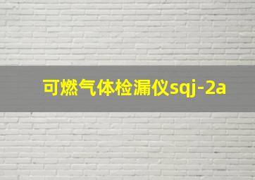 可燃气体检漏仪sqj-2a