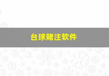 台球赌注软件