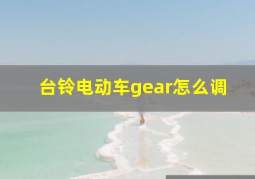 台铃电动车gear怎么调