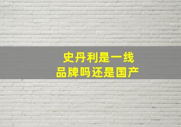 史丹利是一线品牌吗还是国产