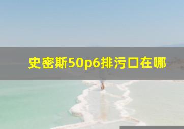 史密斯50p6排污口在哪