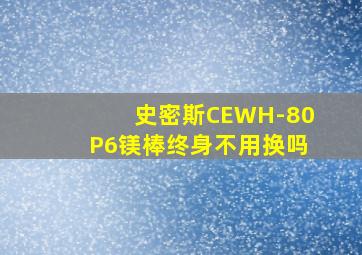 史密斯CEWH-80P6镁棒终身不用换吗