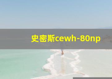 史密斯cewh-80np