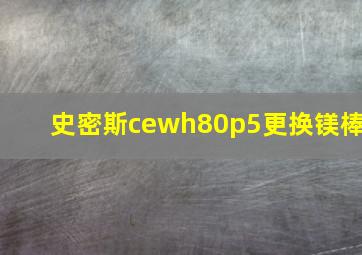 史密斯cewh80p5更换镁棒