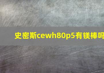 史密斯cewh80p5有镁棒吗